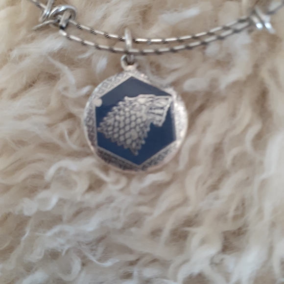 NWT Alex & Ani GoT House Stark Bracelet - Picture 7 of 8